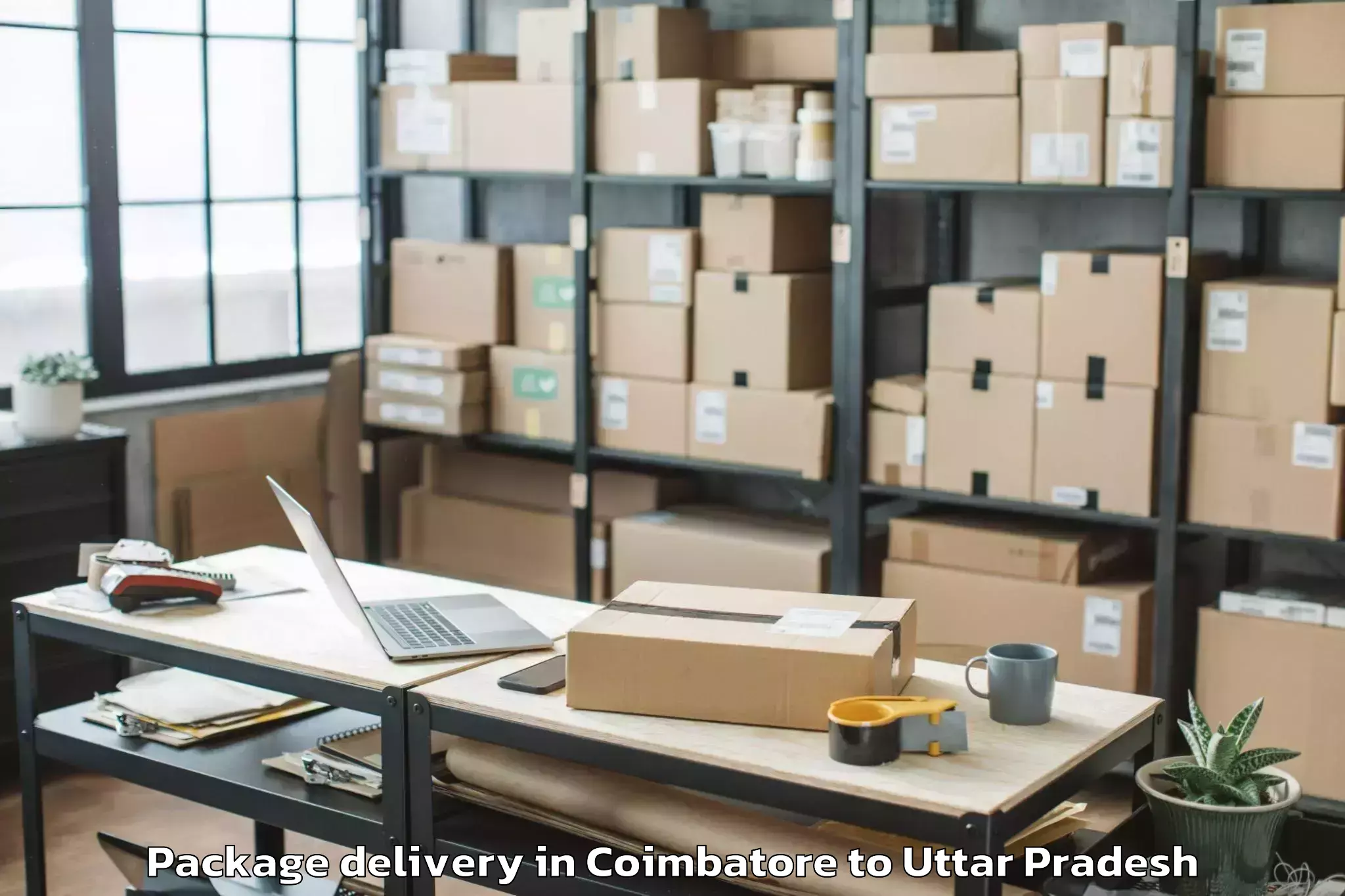 Top Coimbatore to Maharishi University Lucknow Package Delivery Available